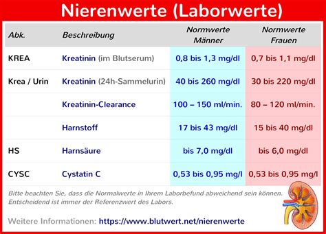 hoedrohlic|erhöhter kreatininwert ab wann bedrohlich.